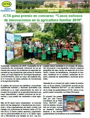 boletin ICTA diciembre 2019